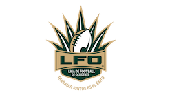 Liga 6